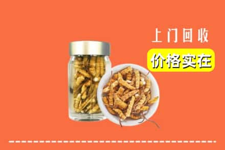 三亚市天涯回收散虫草