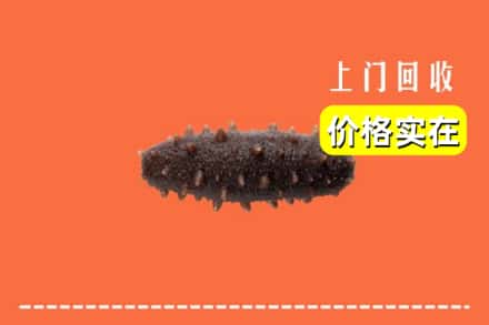 三亚市天涯回收海参