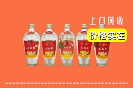 诚信求购:三亚市天涯高价回收老五粮液